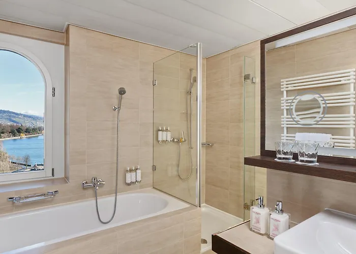 德奥奇城堡酒店 洛桑